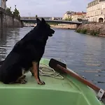 Le Embarque - Gere Par Presta-zen'services - Barque Electrique En Supplement Feriehus