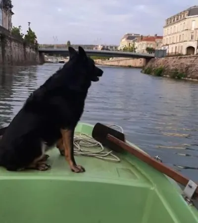 Le Embarque - Gere Par Presta-zen'services - Barque Electrique En Supplement بيت للعطل