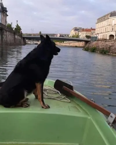 Le Embarque - Gere Par Presta-zen'services - Barque Electrique En Supplement Σπίτι διακοπών