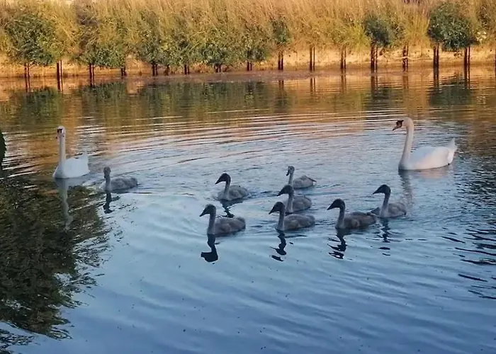 Le Embarque - Gere Par Presta-zen'services - Barque Electrique En Supplement Holiday home Verdun-sur-Meuse